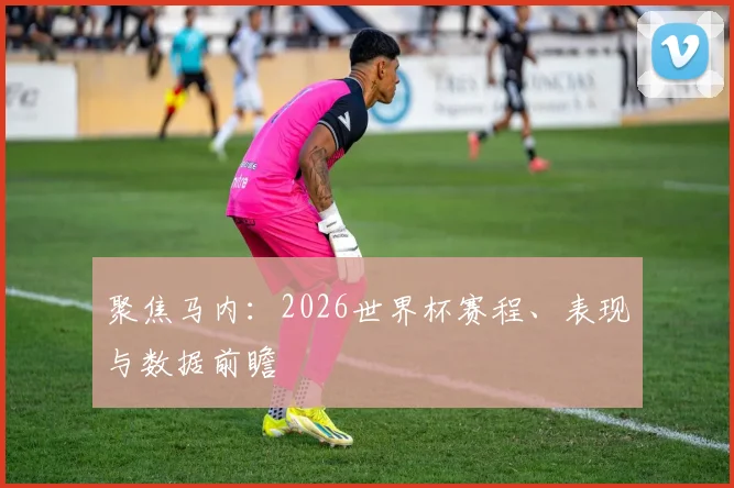 聚焦马内:2026世界杯赛程、表现与数据前瞻